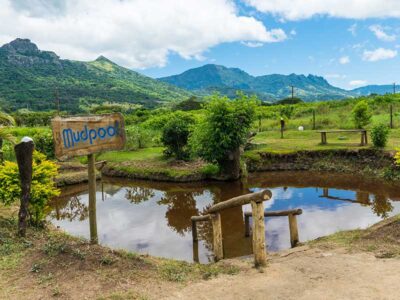 Fiji-mud-pools-springs-1