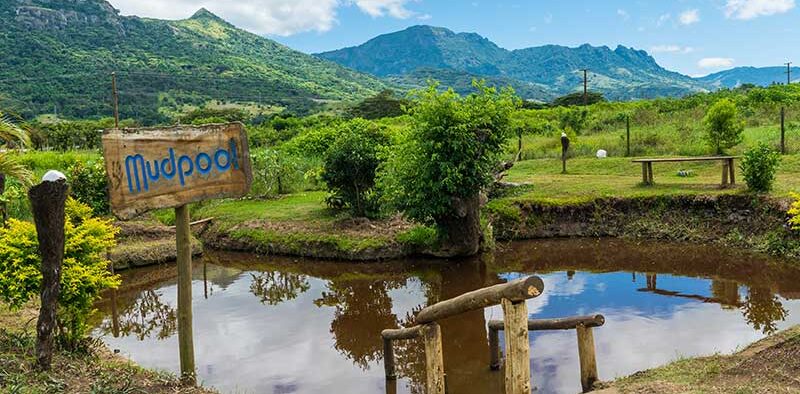 Fiji-mud-pools-springs-1